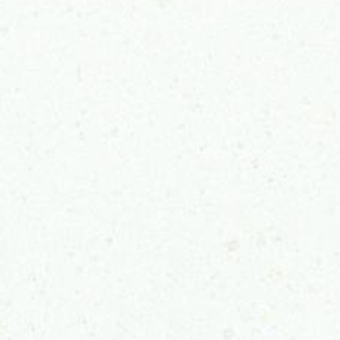 White%20Zeus_0.jpg