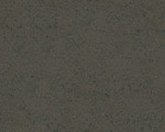 Grey Amazon